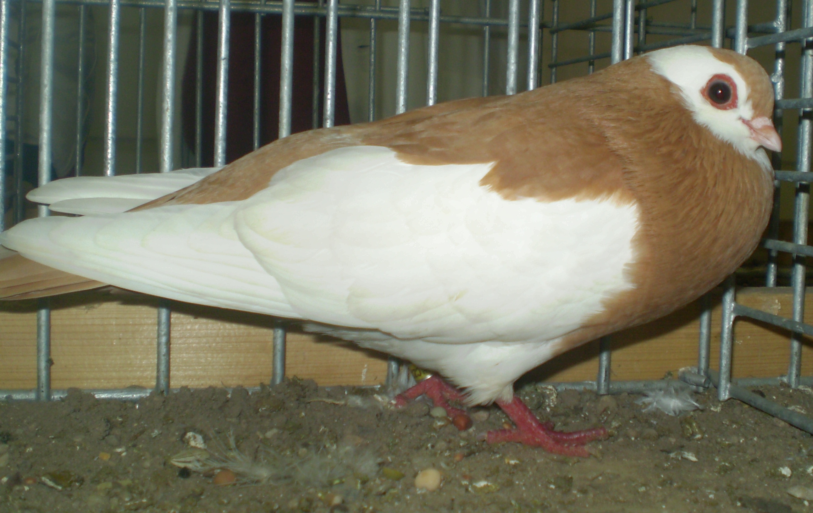P1010091