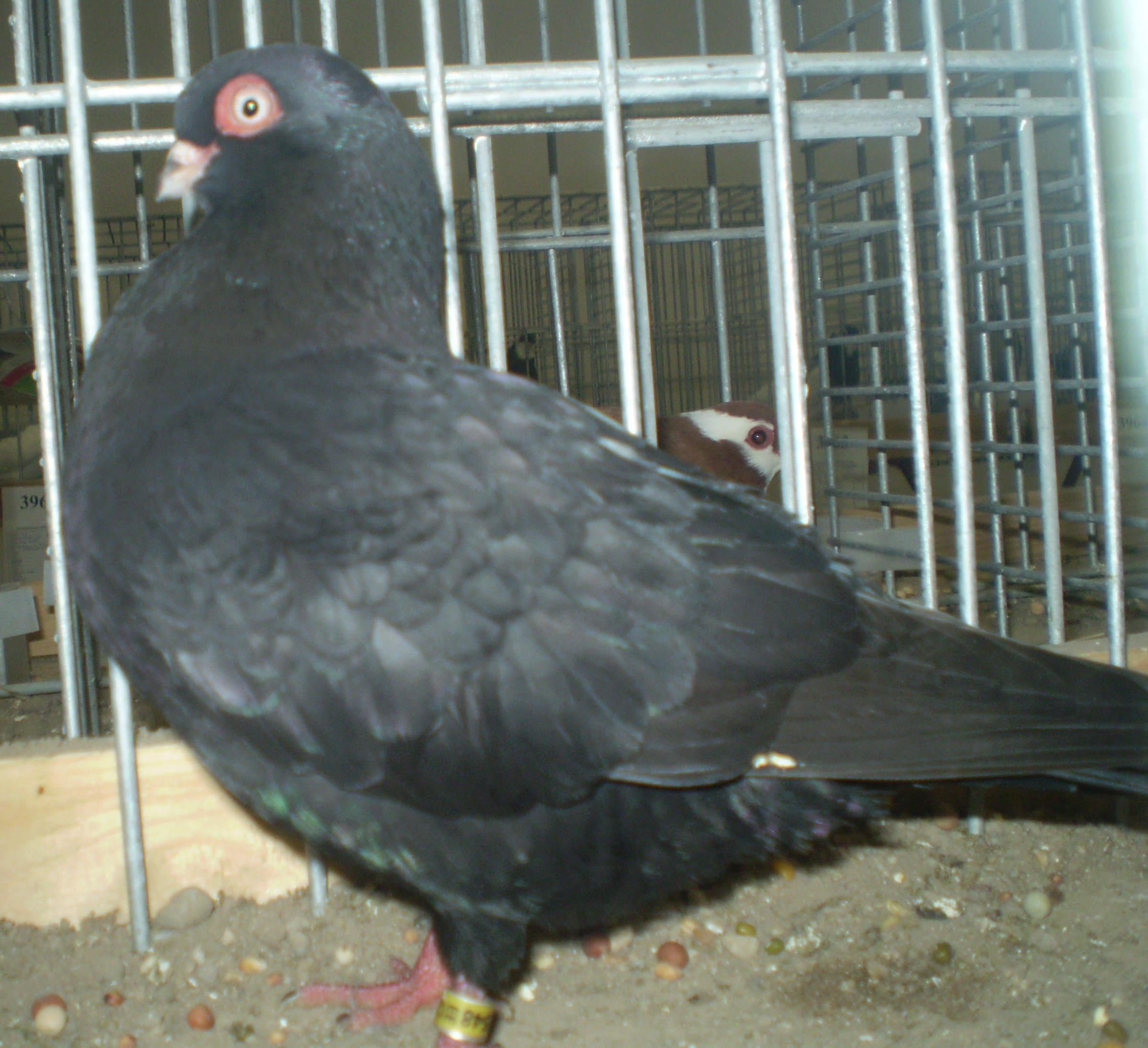 P1010100