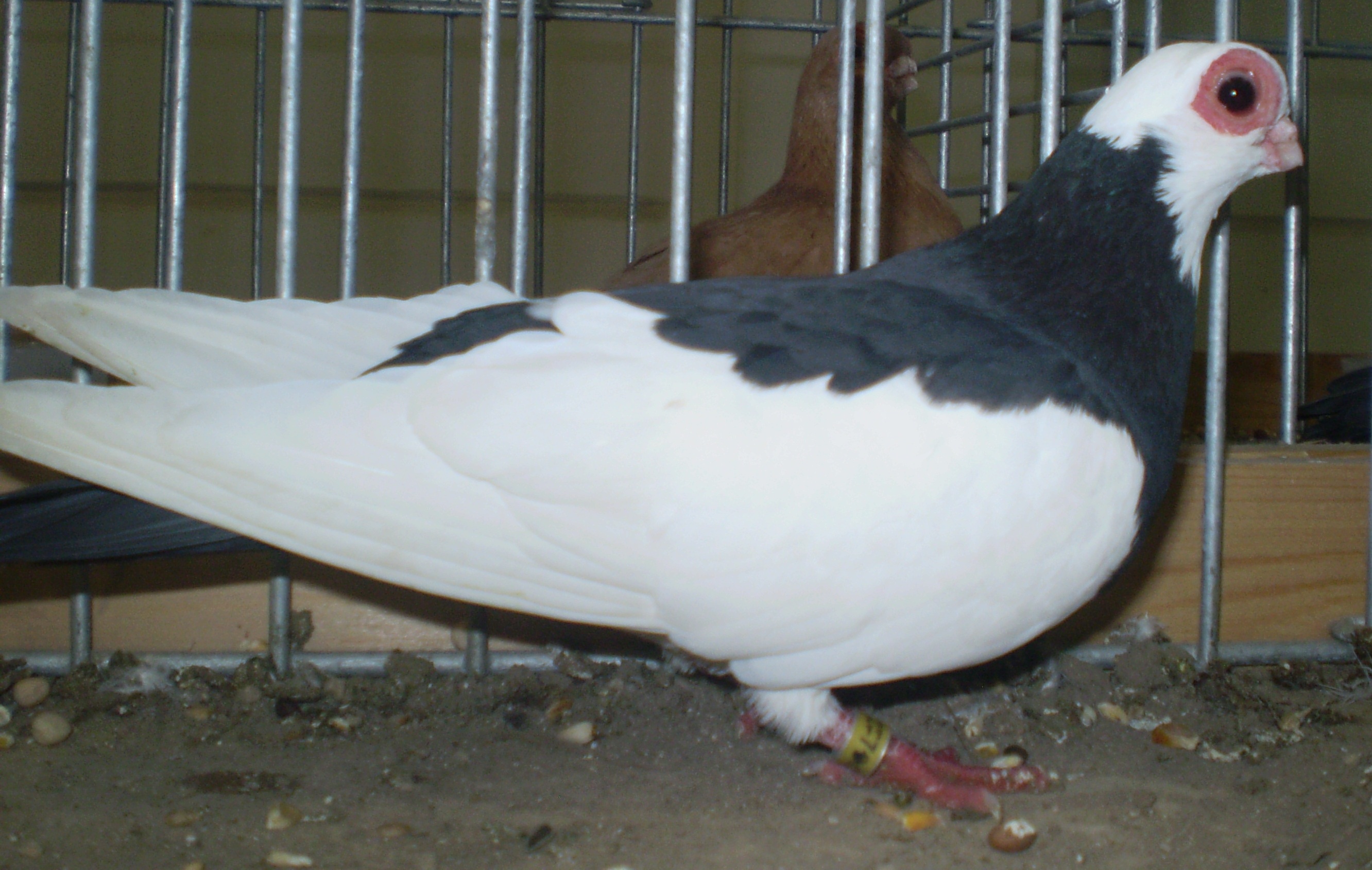 P1010111